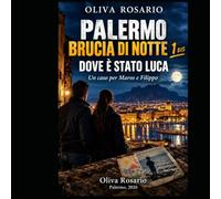 Volume 1 bis PALERMO BRUCIA DI NOTTE: DOVE È STATO LUCA
