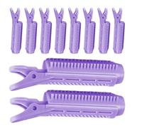 Volumizing Hair Clips - 10pcs Hair Root Clips For Volume | Volumizing Haiir Cliips, Volumizings Roller Clipss | Roller Clipss F0r Hairs Root Lift 10pcs | Hairs Volume Cliips For Roots, Volumizings Hai