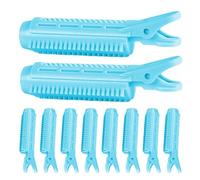 Volumizing Hair Clips - 10pcs Hair Root Clips For Volume | Volumizing Haiir Cliips, Volumizings Roller Clipss | Roller Clipss F0r Hairs Root Lift 10pcs | Hairs Volume Cliips For Roots, Volumizings Hai