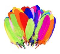 Volumoon100 Pezzi Piume Naturali Colorate, Piume per Artigianato, Acchiappasogni, Decorazioni in Piuma per Fai Da Te, Artigianato, Copricapo, Accessori, Artigianato Scolastico, Feste 15-20CM