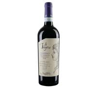 VOLUPTAS Falerno del Massico Primitivo DOP, Vino Rosso, 2022, Fattoria Pagano (1 bottiglia)