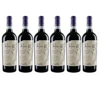 VOLUPTAS Falerno del Massico Primitivo DOP, Vino Rosso, 2022, Fattoria Pagano (6 BT)