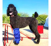 vomvomp Leggings Impermeabili per Cani, Protezione per Le Gambe dei Cani, per barboncini a Pelo Lungo nei Giorni di Pioggia o Neve