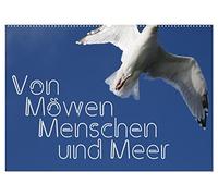 Von Möwen, Menschen und Meer (Wandkalender 2026 DIN A2 quer), CALVENDO Monatskalender: Der Mensch und die Möwe - eine immer wieder spannende Geschichte
