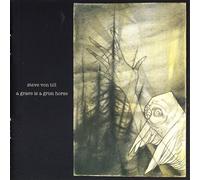 Von Till, Steve - Grave Is A Grim Horse