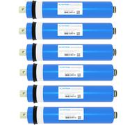 Vontron Membrana 100 Gpd Unità ad Osmosi Inversa 390 Litro Am Tag 6St