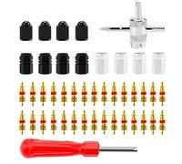 VooGenzek 44 Pezzi Smontavalvole, Cacciavite per Valvole, Strumento a 4 Vie, Nucleo della Valvola in Rame Puro, Tappo Valvola, per Auto, Bicicletta, Moto