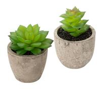 VOSAREA 2 Pezzi Pianta Grassa Artificiale Simulata Es0339 in Polpa e PVC | Decorazione per Scuole e Interni, Non Richiede Acqua, Uso Prolungato, Non Si Deforma, Non Sbiadisce