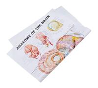 VOSAREA Poster Anatomico del Cervello 50x70 Cm su Tela senza Cornice, Tabella Anatomica Umana Didattica per Scuole e Laboratori, Manifesto Medico Educativo di Anatomia del Cervello Umano