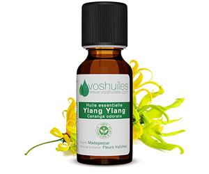 VOSHUILES - Olio Essenziale di Ylang Ylang - 10ml | Profumo Molto Aromatico - Uso in Cosmetica o Diffusione - 100% Puro e Naturale - HEBBD - Tracciabilità e Qualità