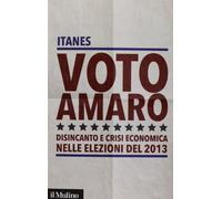 Voto amaro. Disincanto e crisi economica nelle elezioni del 2013
