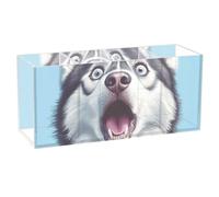 voucong Cartone animato divertente siberiano husky cani paura acrilico portamatite 4 scomparti plastica trasparente pastello organizzatore per la scuola