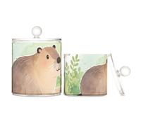 voucong Guinea Pig River Spring contenitore di plastica trasparente con coperchio Dresser Essentials contenitore decorativo di stoccaggio graffette 2 pezzi