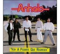 Voy a Pedirte Que Regreses