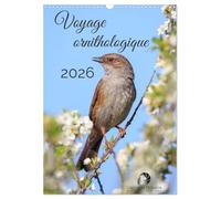 Voyage ornithologique (Calendrier mural 2026 DIN A3 horizontal), CALVENDO calendrier mensuel: Un calendrier fascinant qui vous fait explorer, mois ... la diversité des oiseaux à travers le monde.