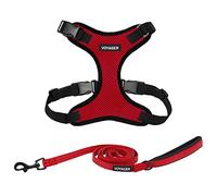 Voyager - Pettorina per cani con guinzaglio riflettente con manico in neoprene da 1,5 m, supporta cuccioli/gatti di razza piccola, media e grande di Best Pet Supplies - rosso/nero, XL