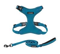 Voyager - Pettorina per cani Step-in Lock con guinzaglio riflettente per cani, set combinato con manico in neoprene, 1,5 m, supporta cuccioli/gatti di razza piccola, media e grande di Best Pet