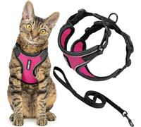 Voyager - Set di pettorina e guinzaglio per gatti a prova di fuga con cuciture riflettenti, manico in neoprene da 1,5 m, supporta gatti piccoli, medi e grandi, gattini da passeggio, by Best Pet