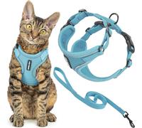 Voyager - Set di pettorina e guinzaglio per gatti a prova di fuga con cuciture riflettenti, manico in neoprene da 1,5 m, supporta gatti piccoli, medi e grandi, gattini da passeggio, by Best Pet