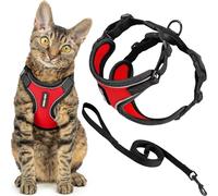 Voyager - Set di pettorina e guinzaglio per gatti a prova di fuga con cuciture riflettenti, manico in neoprene da 1,5 m, supporta gatti piccoli, medi e grandi, gattini da passeggio, by Best Pet