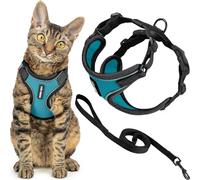 Voyager - Set di pettorina e guinzaglio per gatti a prova di fuga con cuciture riflettenti, manico in neoprene da 1,5 m, supporta gatti piccoli, medi e grandi, gattini da passeggio, by Best Pet