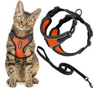 Voyager - Set di pettorina e guinzaglio per gatti a prova di fuga con cuciture riflettenti, manico in neoprene da 1,5 m, supporta gatti piccoli, medi e grandi, gattini da passeggio, by Best Pet