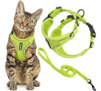 Voyager - Set di pettorina e guinzaglio per gatti a prova di fuga con cuciture riflettenti, manico in neoprene da 1,5 m, supporta gatti piccoli, medi e grandi, gattini da passeggio, by Best Pet