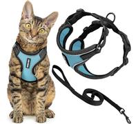 Voyager - Set di pettorina e guinzaglio per gatti a prova di fuga con cuciture riflettenti, manico in neoprene da 1,5 m, supporta gatti piccoli, medi e grandi, gattini da passeggio di Best Pet