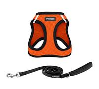 Voyager Step-in Air All Weather Mesh Harness and Reflective Dog 5 ft Leash Combo with Neoprene Handle, for Small, Medium and Large Breed Puppies by Best Pet Supplies - Orange/Black Trim, Medium