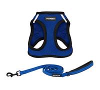 Voyager Step-in Air - Pettorina in rete per tutte le condizioni atmosferiche e guinzaglio riflettente per cani da 1,5 m, con manico in neoprene, per cuccioli di taglia piccola, media e grande, di Best
