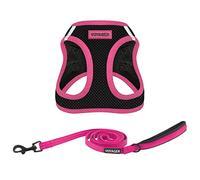 Voyager Step-in Air - Pettorina in rete per tutte le condizioni atmosferiche e guinzaglio riflettente per cani da 1,5 m, con manico in neoprene, per cuccioli di taglia piccola, media e grande, di Best