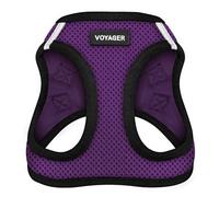 Voyager Step-in Air - Pettorina per cani di piccola e media taglia per tutte le condizioni atmosferiche, con base viola, taglia XS