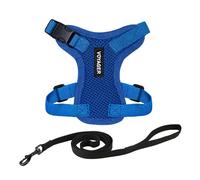 Voyager Step-in Lock Pettorina per Gatti con Guinzaglio per Gatti Riflettente e Impugnatura in Neoprene by Best Pet Supplies - per Gatti di Taglia Piccola, Media e Grande, Royal Blu, S - 1,5 m