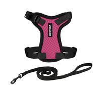 Voyager Step-in Lock Pettorina per Gatti con Guinzaglio Riflettente e Impugnatura in Neoprene by Best Pet Supplies - per Gatti di Taglia Piccola, Media e Grande, Fucsia/Bordo Nero, XS - 1,5 m