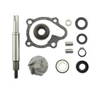 Vparts Kit Di Revisione Della Pompa Dell`acqua Fs-145