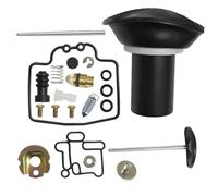 VQLDPX Carburatore ricostruzione Kit Kit di Riparazione Carburatore per Yamaha YP250 YP 250 Majesty 250 250CC per Versity VP300 VP 300 250A Carb Rebuild Piston Diaframma Moto Accessorio(Imposta 3)