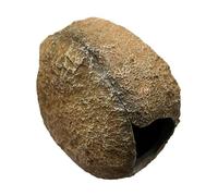 vreplrse Nascondigli magnetici per acquari, grotte rocciose, nascondigli per Pesci, per acquari Che imitano Rocce Naturali, per gamberetti, per gamberetti