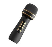 Vriusi Microphone for Singing | Portable Cordless Mic Speaker | Multifunctional Wireless Microphones, Speakers, Voice Recorders, Music Players for Family, Friends, Karaoke, Fun