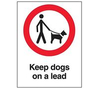 Vsafety "Keep cani su un cavo" Sign, ritratto, (confezione da 3), 150 mm x 200 mm, 3