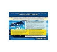 Vsafety Pilr in pratica poster - privacy di design - A3