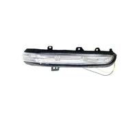 VSESTCDPB Indicatore dello specchietto laterale Per Per Territory S330 2019 2020 2021 Specchietto Retrovisore Laterale Indicatore Di Direzione(Giusto)