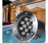 VSHENG Luci Subacquee Interrate Bassa Tensione LED Luce dello Stagno Impermeabile IP68 AC12/24V Luci della Piscina per Cascate Stagni Villa Luci del Paesaggio(Green,12W-AC24V)