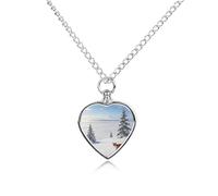 VstaDank Collana con urna a forma di cuore con ciondolo a forma di cuore per ceneri con ciondolo a forma di cuore, gioiello commemorativo per animali domestici, cani, gatti, ceneri