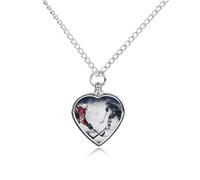 VstaDank Collana con urna artistica da hockey su ghiaccio per ceneri gioielli personalizzati per cremazione per animali domestici per ceneri ciondolo a forma di cuore collana commemorativa gioielli