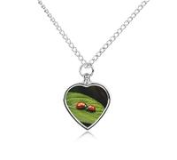 VstaDank Collana con urna per la stagione di caccia al cervo per ceneri gioielli personalizzati per cremazione per animali domestici per ceneri ciondolo a forma di cuore collana commemorativa gioielli