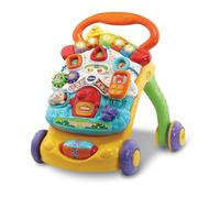 VTech Baby Walker - Giochi educativi (multicolore, ragazzo/ragazza, 0,75 anno/i, 3 anni, in plastica