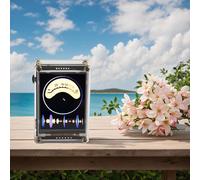 VU Meter LCD 2 4 Pollici con Microfono ad Alta Sensibilità per Livelli Musicali