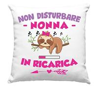 Vulfire Federa per Cuscino Nonna Speciale, Idea Regalo di Compleanno Originale, Frase Divertente, Non disturbare Nonna in ricarica Divano Letto - senza Imbottitura (40_x_40_cm)