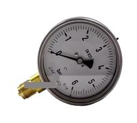 Vuotometro a pressione negativa RF100 0/6bar G1/2 Manometro in acciaio inossidabile Originale