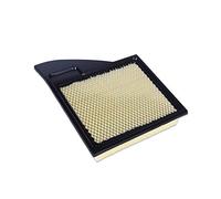 Vuzmode 1 pz Filtro aria auto, for Ford, for Mustang, 3.7L 2011 2012 2013 2014 Filtro Accessori auto AR3Z9601B Filtro Filtro dell'aria abitacolo